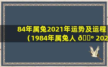 84年属兔2021年运势及运程（1984年属兔人 🐺 2020年下半年 🐴 运势）